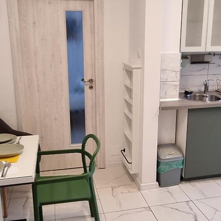 Elisabeta Studio Apartment ブカレスト エクステリア 写真